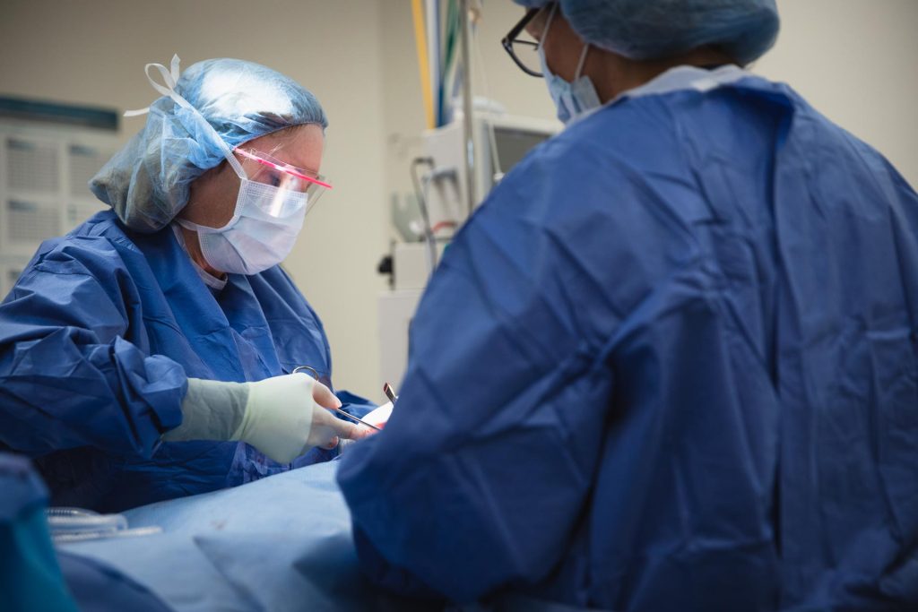 expert labiaplasty plastic surgeon near me performing labiaplasty